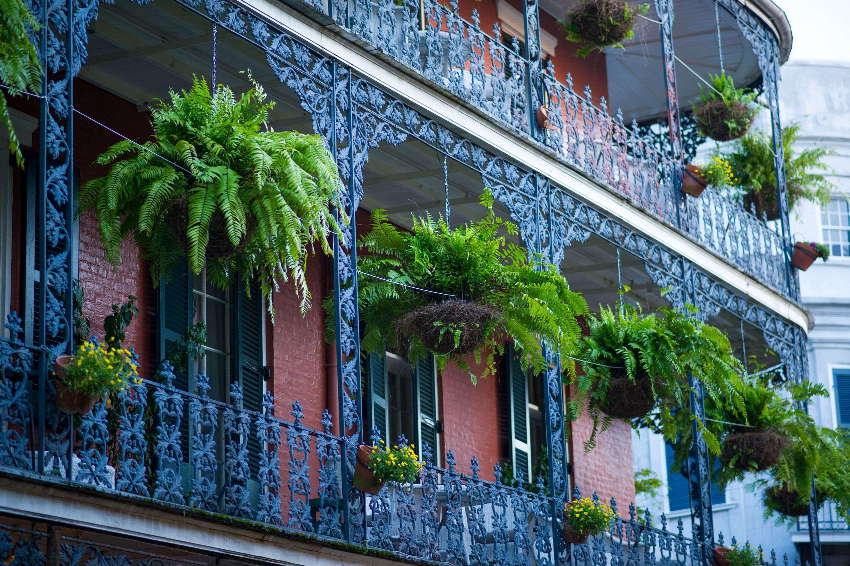Frenchmen Orleans At 519, Ascend Hotel Collection New Orleans Luaran gambar