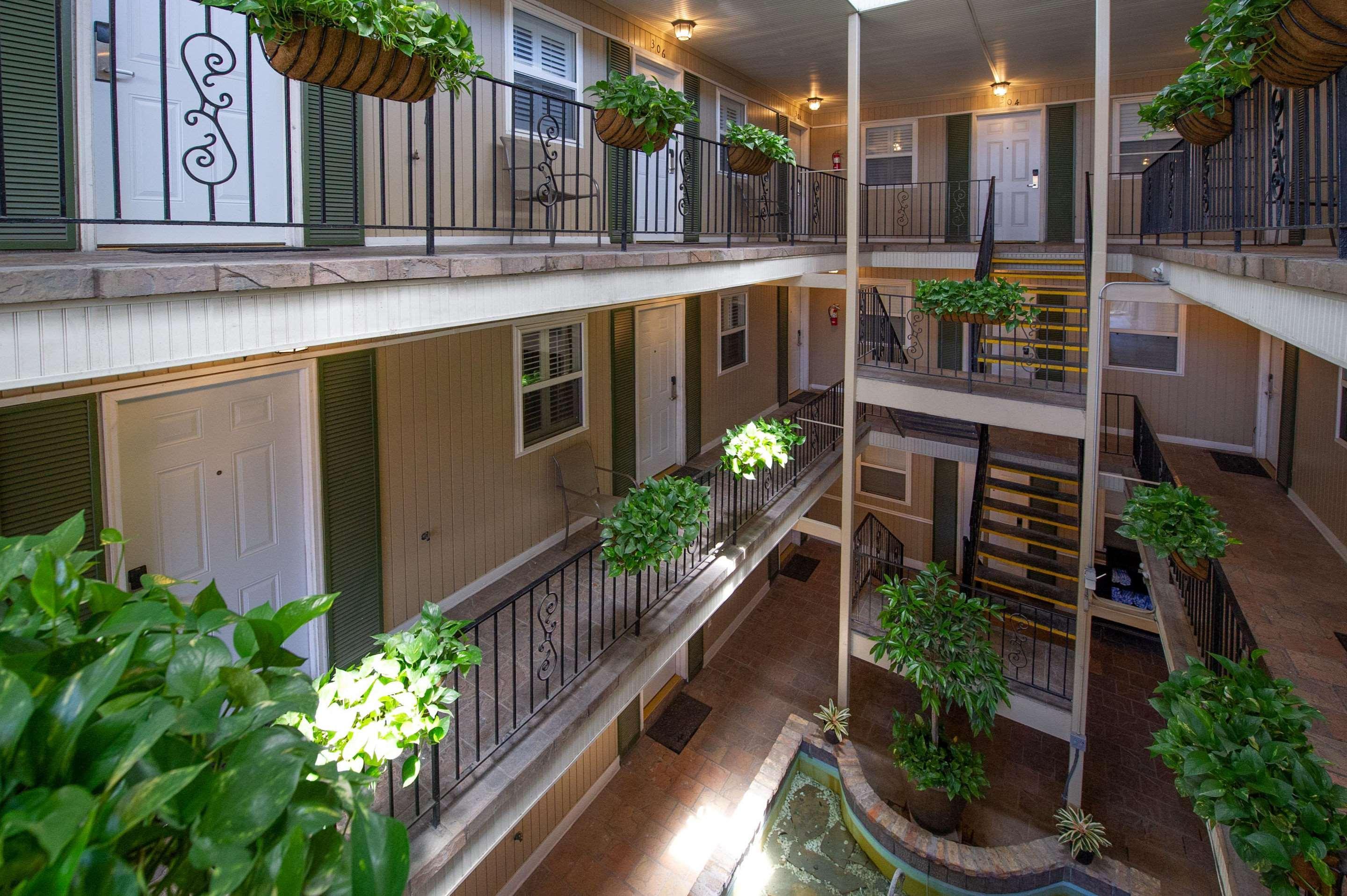 Frenchmen Orleans At 519, Ascend Hotel Collection New Orleans Luaran gambar